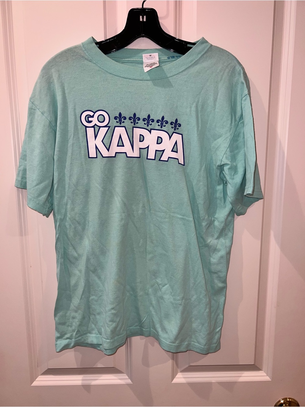 Anvil Mint Green GO KAPPA Graphic Tee